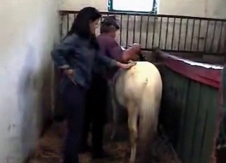 Dudes playing around with horses