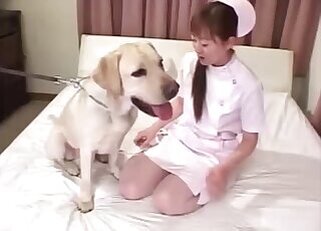 Japanese animal tube