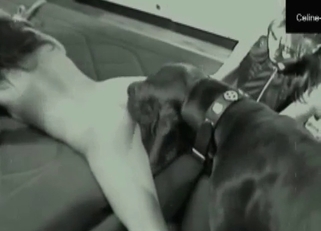Horny dog in the middle of a threesome